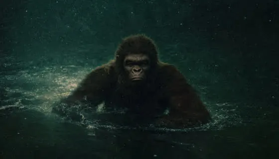 Bigfoot lake